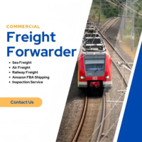 Agente DE TRANSPORTE PROFESIONAL verificado por Alibaba, tren aéreo marítimo, envío de carga a Europa, EE. UU., DDP puerta a puerta