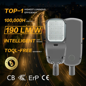 Éclairage routier extérieur à LED durable, étanche IP66, IK10, boîtier en aluminium, haut lumen, lampadaire - Product Image 1