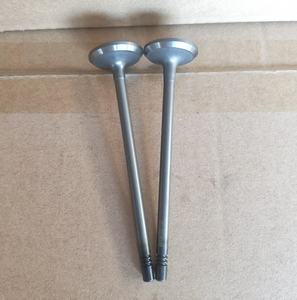 500362855 di fabbrica 500362856 valvola del motore per Fiat 2.3 In 30*6*120.4 Ex 30*6*120.4 - Product Image 6