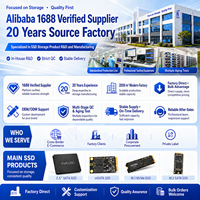 SSD M.2 NVMe PCIe 3.0 Internal Laptop dengan Kecepatan Baca 3200 MB/s dan Menulis 2000 MB/s
