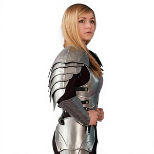 Armure en acier inoxydable plaqué argent, costume de guerrier gothique poli, tenue de protection intégrale - Product Image 5