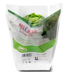 Akzeptieren Sie Pflanzen kräuter hülsen Verpackung für Hydro ponic Living Basil und Salat Gemüse Packt asche