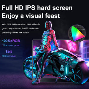 Monitor Portátil de 13.3'' 400 Nits 100% SRGB IPS Vista Completa Full HD 60Hz Doble Tipo-C Compatible con Laptop/Switch/PS5 - Product Image 3