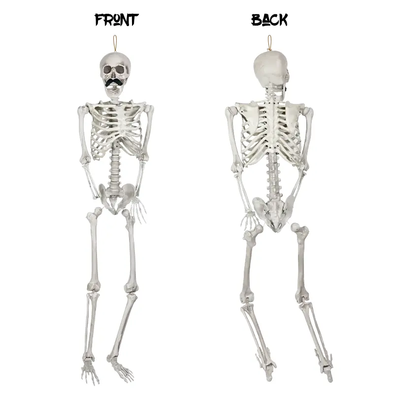Halloween Home Decor Party Supplies Decorations Halloween Skeleton Life Size Skeleton