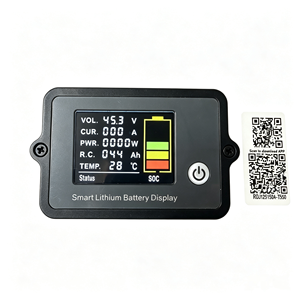 Batterie lithium-ion LiFePO4 haute performance personnalisée 51,2 V 100 Ah avec BMS Bluetooth pour voiturette de golf électrique, UGV, AGV, camping-car, bateau - Product Image 6