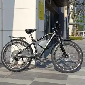定制标志电动自行车80千米h脂肪轮胎，适用于ebike三角ebike电池60v三星