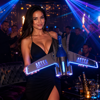 Présentoir lumineux LED personnalisé en forme d'avion pour bouteille de champagne, support VIP pour bouteille, présentoir à vin lumineux pour boîte de nuit, bar, lounge
