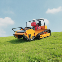 Penjualan Langsung Pabrik Mesin Pemotong Rumput Flail Bermesin Bensin Lebar Pemotongan 800mm 1000mm 1200mm dengan Remote Control Bersertifikasi CE EPA