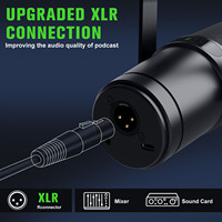 2024 nouveau ZTT30 chine USB XLR Mucis chanson Record Poadcast Mike pour PC Playstation 5