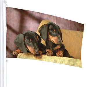 3 x5ft poliestere personalizzato doppio lato carino bassotto all'aperto bandiera Windward per la decorazione di interni all'aperto - Product Image 2