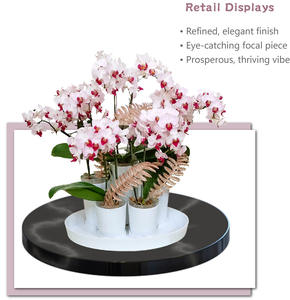 กล่องของขวัญหลอดกล้วยไม้ชุดของขวัญดอกไม้ชุบด้วยไฟฟ้าหรูหราสำหรับร้านค้าปลีกดอกไม้และของตกแต่งบ้าน - Product Image 3