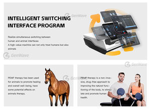 Máquina de Terapia Física PEMF Terapia Physio Magneto PMST LOOP Pro Max Physio Magneto Alivio del dolor Máquina de terapia de caballos - Product Image 4