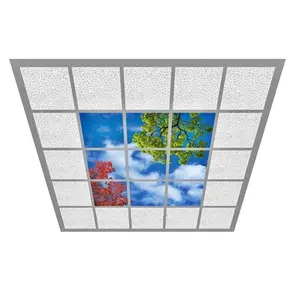 High-quality material Supplier wholesale Blue sky decorate square led panel light led blue sky ceiling light panel