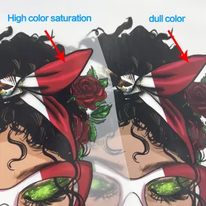 Tùy Chỉnh Chất Lượng Cao Dtf Truyền Nhiệt Không Thấm Nước Và Có Thể Giặt Màn Hình In Cho T-Shirt Hàng May Mặc - Product Image 3