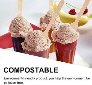 China Wholesale Biodegradable Disposable <strong>Spoons</strong> Wooden Ice Cream <strong>Spoon</strong> Making <strong>Mini</strong> <strong>Wood</strong> <strong>Spoon</strong> - Product Image 5