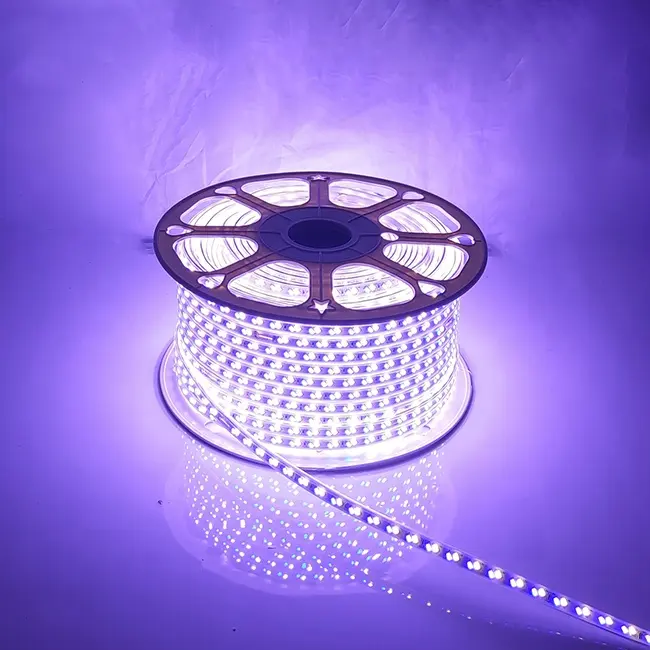 led strip light 220V 110V SMD 5730 120 led white+warm warm+blue Three-color led light strip