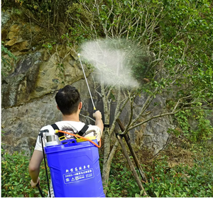 Nhà Máy Trực Tiếp 16L PVC Tự Động Pin-Powered Ống Duy Nhất Đôi Dày Tay Phun Áp Lực Phong Cách Mới - Product Image 4