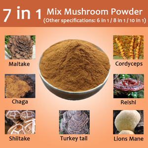 Hữu cơ hỗn hợp nấm chiết xuất pha trộn bột 7 trong 1 nấm hỗn hợp bột sư tử bờm, Reishi, đông trùng hạ thảo, <span class=keywords><strong>Shiitake</strong></span> - Product Image 2