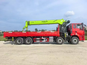 Grúa Montada en Camión <span class=keywords><strong>Schaman</strong></span> de 12 Toneladas, Diésel, Transmisión Manual, Euro 5, Nueva - Product Image 2