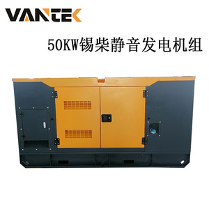 Groupe électrogène diesel Jiangsu Wantai 50 kW TPD50X6, alimentation de secours extérieure étanche - Product Image 3