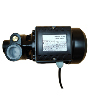 PM45 0.5HP Electric Water <strong>Pump</strong> High Efficiency <strong>Centrifugal</strong> Peripheral <strong>Pump</strong> Customizable Cable Length Iron <strong>Motor</strong> Reasonable Price - Product Image 2