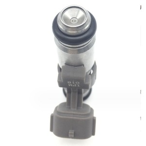Inyector de combustible IPM018 para motor de gasolina Chery 6 611 0.8 1.1, modelo de 2 orificios - Product Image 3