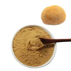 Herbal Essence Herbal Supplements Lion's Mane Powder Food Chaga Mushroom Extract Chinese Wuling Fruit Body or Mycelium 100 Mesh