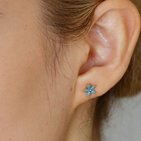 Niedliche 925 Silber Fünfblättrige Blumen Zirkon Ohrstecker Farbige CZ Feine Ohrstecker
