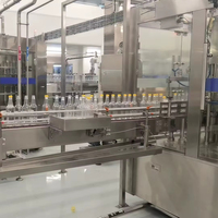 Línea de Producción Llave en Mano para la Elaboración de Sidra, Jugo de Frutas y Vinagre, con Sistema de Llenado de Botellas