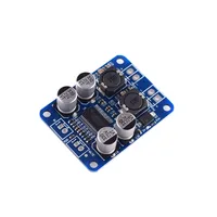 Module amplificateur audio numérique mono 60W DC 12V-24V avec puce originale TPA3110 TPA3118 28/32 broches