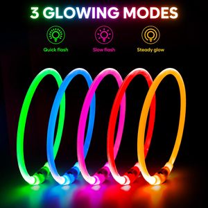OEM collares de perro más brillantes USB recargable impermeable iluminar <span class=keywords><strong>collar</strong></span> de perro para caminar de noche - Product Image 5