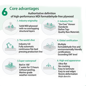 Contreplaqué AIDD supérieur conjointement construit des normes élevées Full Core Single Board Multi Certification Contreplaqué - Product Image 5