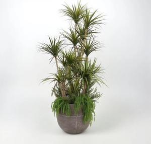 Tomate artificielle en pot et Dragon Pot de sang plante <span class=keywords><strong>pour</strong></span> intérieur extérieur décor à la maison centre commercial supermarché paysage arbre - Product Image 3