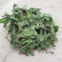 Bo He Nouvelle Tisane 100% Naturelle aux Herbes Séchées de Menthe Poivrée Feuilles de Menthe