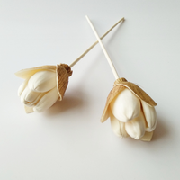 Vente directe d'usine, diffuseur de fleurs en sola de haute qualité, fleur en bois sola personnalisée