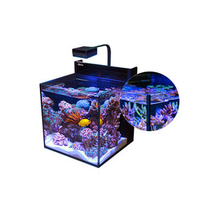 New RedSea MAX Nano G2 Glass Saltwater Tank Partition with <strong>Lighting</strong> and Back Filtration for Marine <strong>Aquarium</strong> - Product Image 1