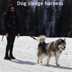 <span class=keywords><strong>Harnais</strong></span> de <span class=keywords><strong>luge</strong></span> <span class=keywords><strong>pour</strong></span> gros chiens de haute qualité ski course <span class=keywords><strong>harnais</strong></span> <span class=keywords><strong>pour</strong></span> animaux de compagnie <span class=keywords><strong>pour</strong></span> chiens moyens et grands Alaska Hound Bulldog Mascotas accessoires - Product Image 4
