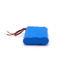 Batterie lithium-ion rechargeable personnalisée 7,4 V 11,1 V 12 V 4 Ah 6 Ah 10 Ah avec protection BMS, cellules de qualité A, haute capacité, pour éclairage solaire