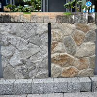 Revêtement de mur en pierre lâche de forme irrégulière de calcaire rustique bleu de roche naturelle