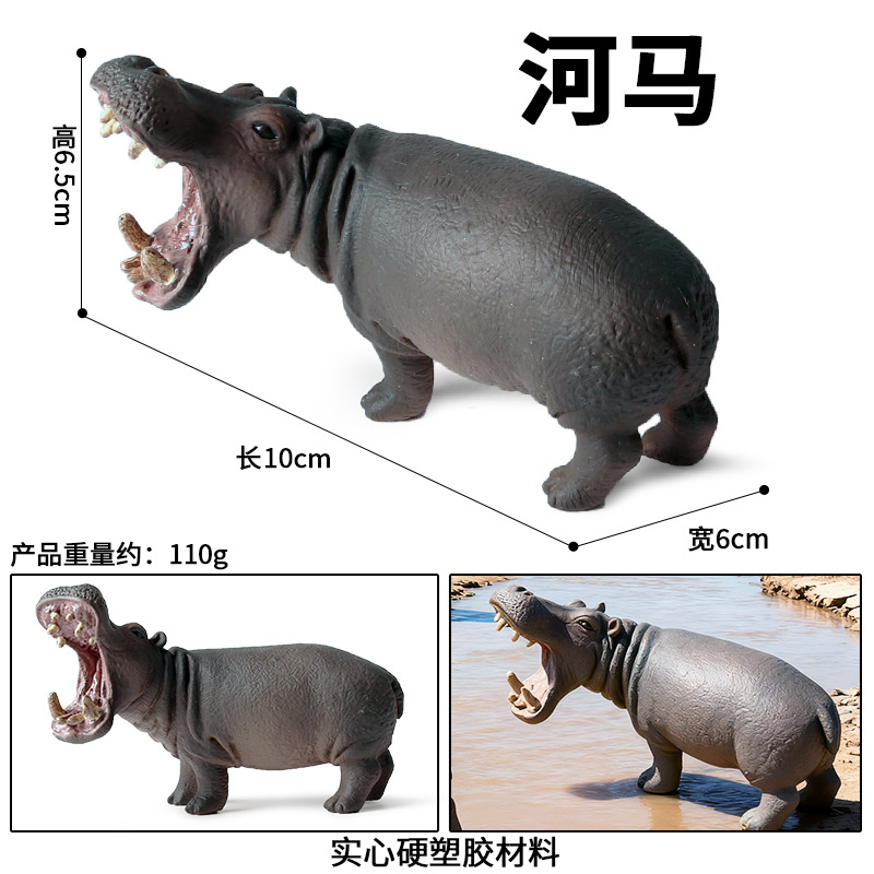 ฮิปโปโปเตมัส