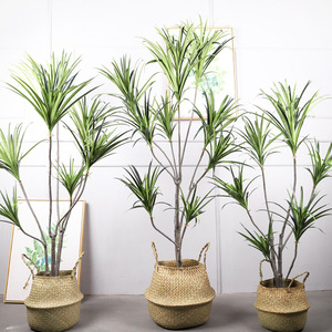 ต้นปาล์มเลือดมังกรประดิษฐ์ ต้นไม้จำลองคุณภาพสูง ตกแต่งภายในบ้าน ของตกแต่งงานแต่งงาน แบบกลม ชิ้นเดียว รุ่น QH-53019 - Product Image 3