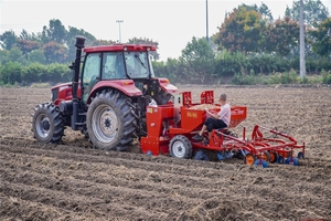 Planteur de pommes de terre d'occasion agricole - Product Image 4