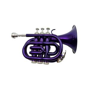 SEASOUND Mini trompette de poche BB Tone OEM violet laiton Instrument Trompette JYPT406PU Mini trompette - Product Image 4