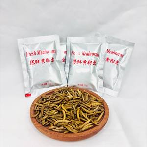 L'imballaggio con azoto preserva efficacemente i vermi della farina e sono ricchi di nutrienti e facili da conservare. - Product Image 1