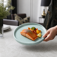 Assiette à dîner en céramique moderne, assiette ronde en céramique pour la maison, la restauration et les dîners