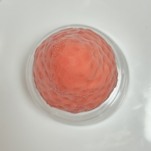 Factory Wholesale Strawberry <strong>Ice</strong> <strong>Cream</strong> Good Quality Cheap Price 3D <strong>Fruit</strong> Shape Box Packaging HALAL Certified OEM/ODM Service - Product Image 6