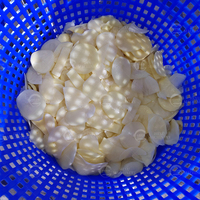 Industriële centrifugale fruit- en groente-dehydrator, automatische bladgroente-ontwateringsmachine, centrifuge