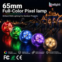 Projecteur LED à filament RGBW programmable 65 mm 3W UCS2904 DC24V pour éclairage extérieur de fêtes, festivals et projets d'éclairage de rue