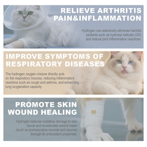 Ruang <span class=keywords><strong>Nebulizer</strong></span> hidrogen hewan peliharaan untuk kucing & anjing, kotak terapi oksigen dapat dilipat - Product Image 5