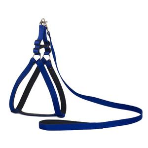 สายจูงและสายรัดพลาสติกอ่อนสินค้า1 - Product Image 1